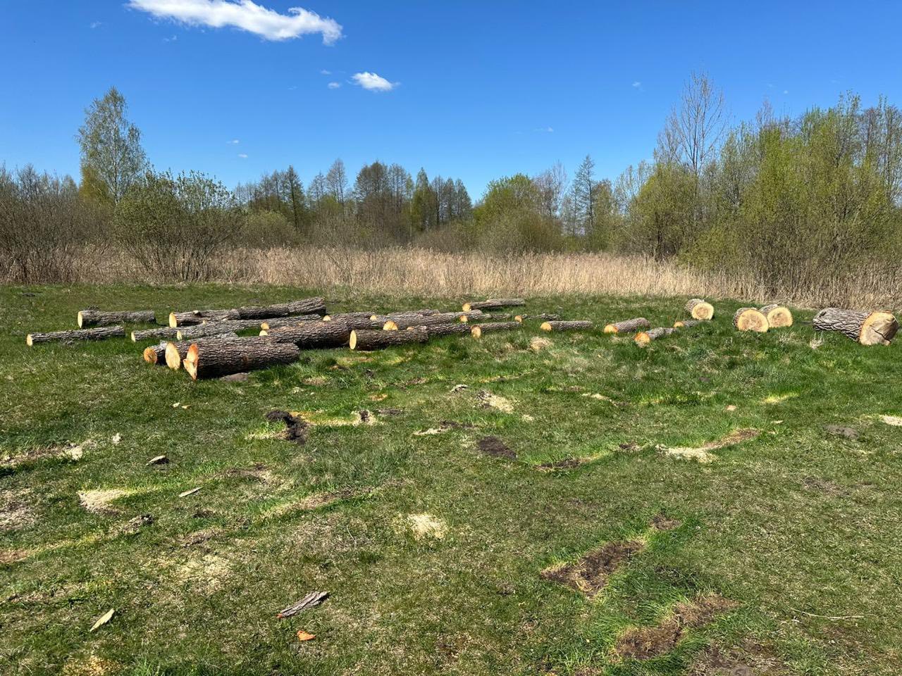 Фото до матеріалу: Поліція виявила причіп з незаконною лісодеревиною в Сошичненській громаді