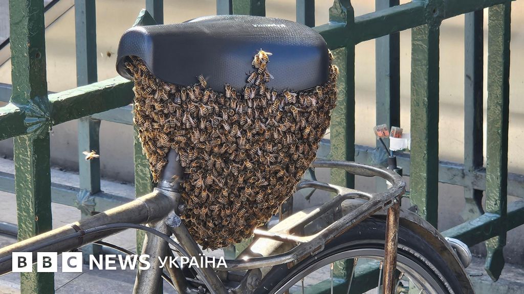 Фото до матеріалу: Десятки тисяч бджіл оселилися на велосипеді біля Лувру: що сталося в Парижі