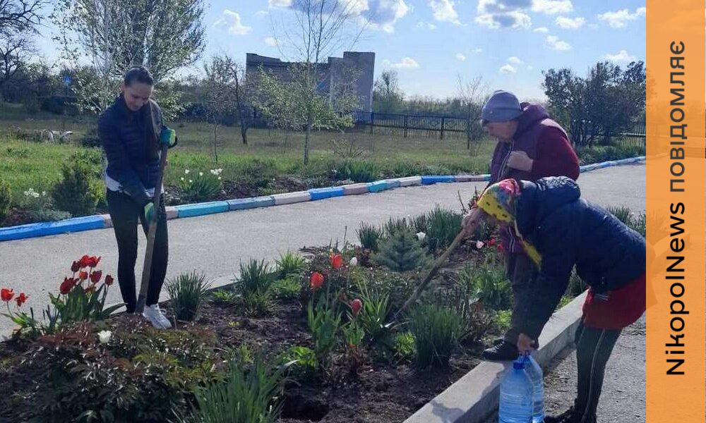 Фото до матеріалу: У Мирівській громаді Нікопольського району розквітають нові троянди: благодійник подарував саджанці для благоустрою