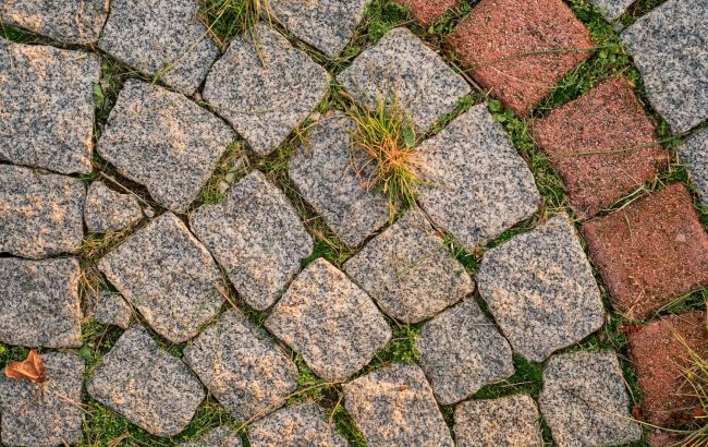 Фото до матеріалу: Як прибрати бур'яни між бруківкою без хімії: 4 перевірені методи