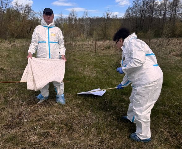 Фото до матеріалу: Кліщі прокинулися майже всі одночасно — у регіоні фіксують випадки хвороби Лайма - 20 хвилин