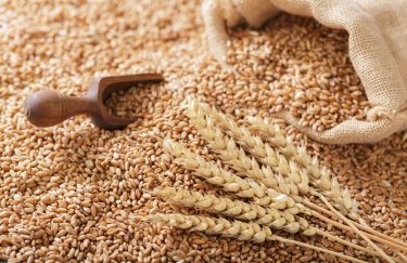 Фото до матеріалу: Україна експортувала 5,7 млн тонн агропродукції у квітні: зернові лідерують