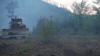 Фото до матеріалу: Лісова пожежа в Карпатах: горить урочище Кілиця, площа займання сягає 75 гектарів