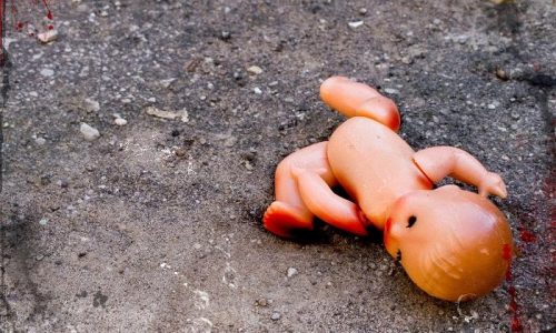 Фото до матеріалу: Електропоїзд загорівся біля Косарів: евакуювали 40 пасажирів