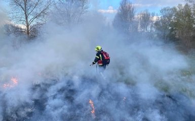 Фото до матеріалу: Пожежі в екосистемах України: загроза для природи та життя. Огляд ситуації