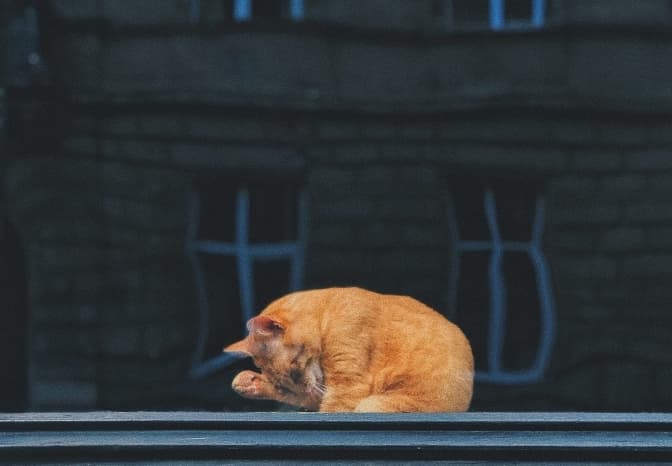 Фото до матеріалу: У річці Зубра у Львові виявили перевищення норм забруднення води