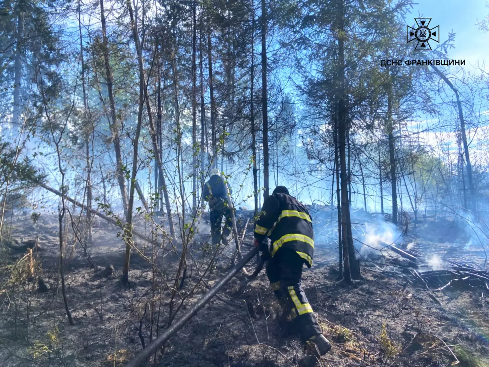 Фото до матеріалу: У Перегінській громаді гасили пожежу лісової підстилки п'ять годин
