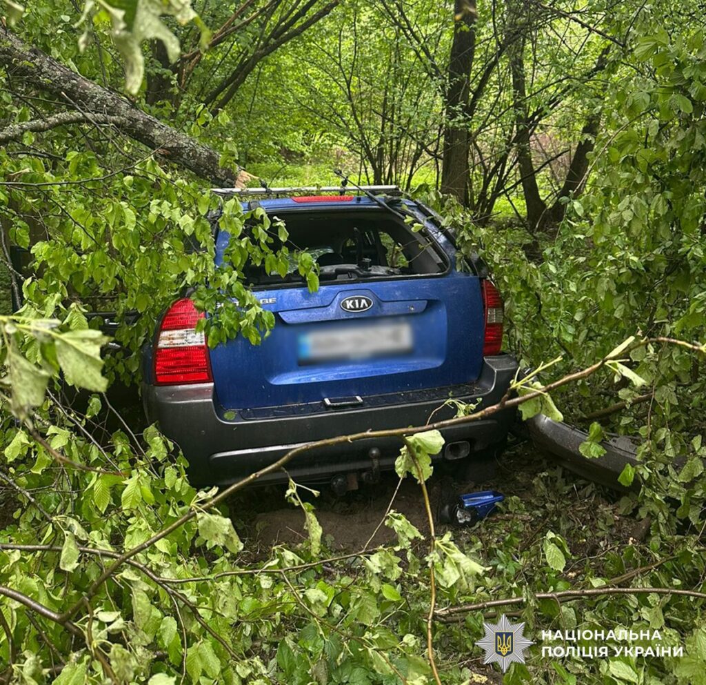 Фото до матеріалу: Двох чоловіків поховали після смертельного тарану дерева на Малинщині