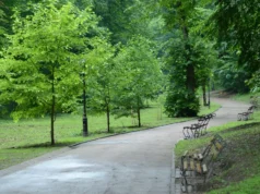 Фото до матеріалу: Львівська міська рада отримала партію нових тролейбусів Škoda 26Tr Solaris