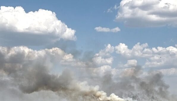 Фото до матеріалу: На Стрийщині заклали «Сад пам'яті мрій» у межах міжнародної акції