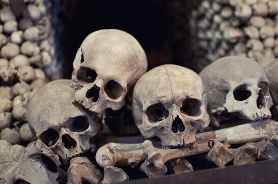 Фото до матеріалу: Походження Homo sapiens: новий погляд на еволюцію людства