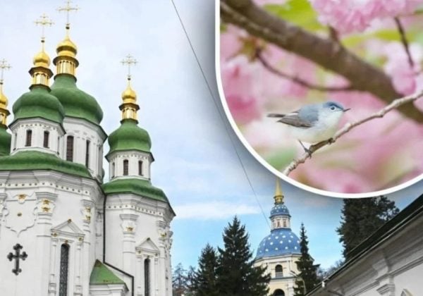 Фото до матеріалу: 10 травня: яке церковне свято і що робити землеробам