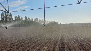 Фото до матеріалу: Агрохолдинг HarvEast завершив посівну кампанію за 25 днів