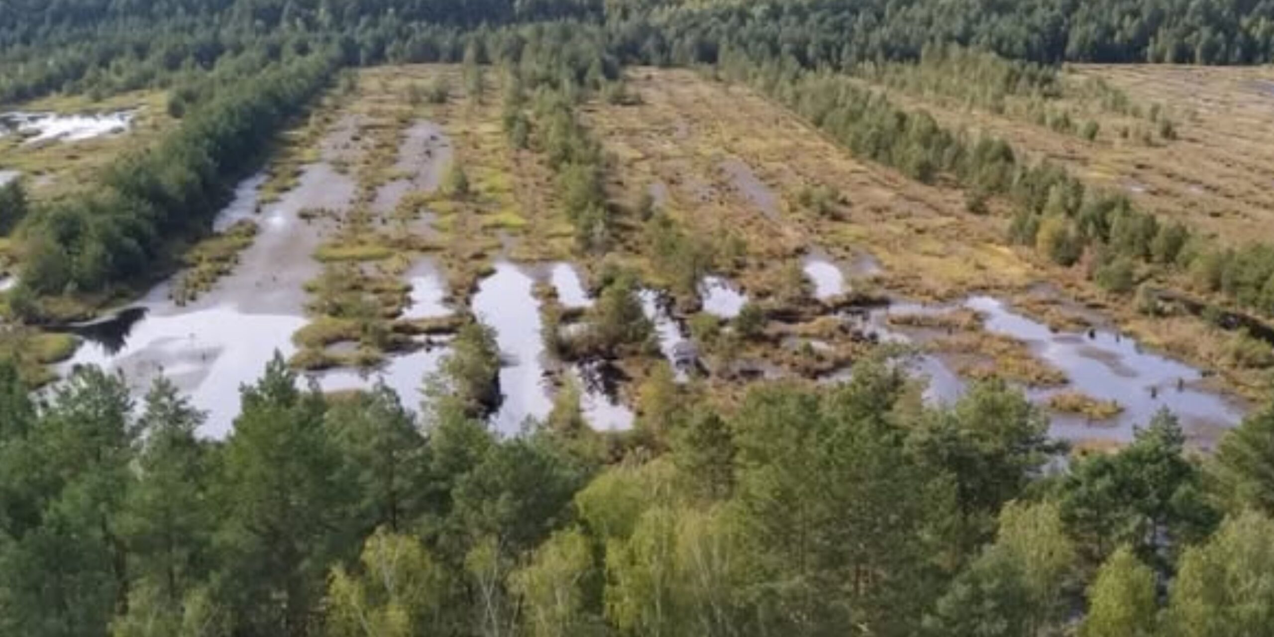 Фото до матеріалу: Кабмін заборонив осушення торфовищ: нові правила охорони природних територій