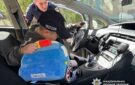 Фото до матеріалу: У Білгороді-Дністровському відбувся масштабний інклюзивний фестиваль для дітей