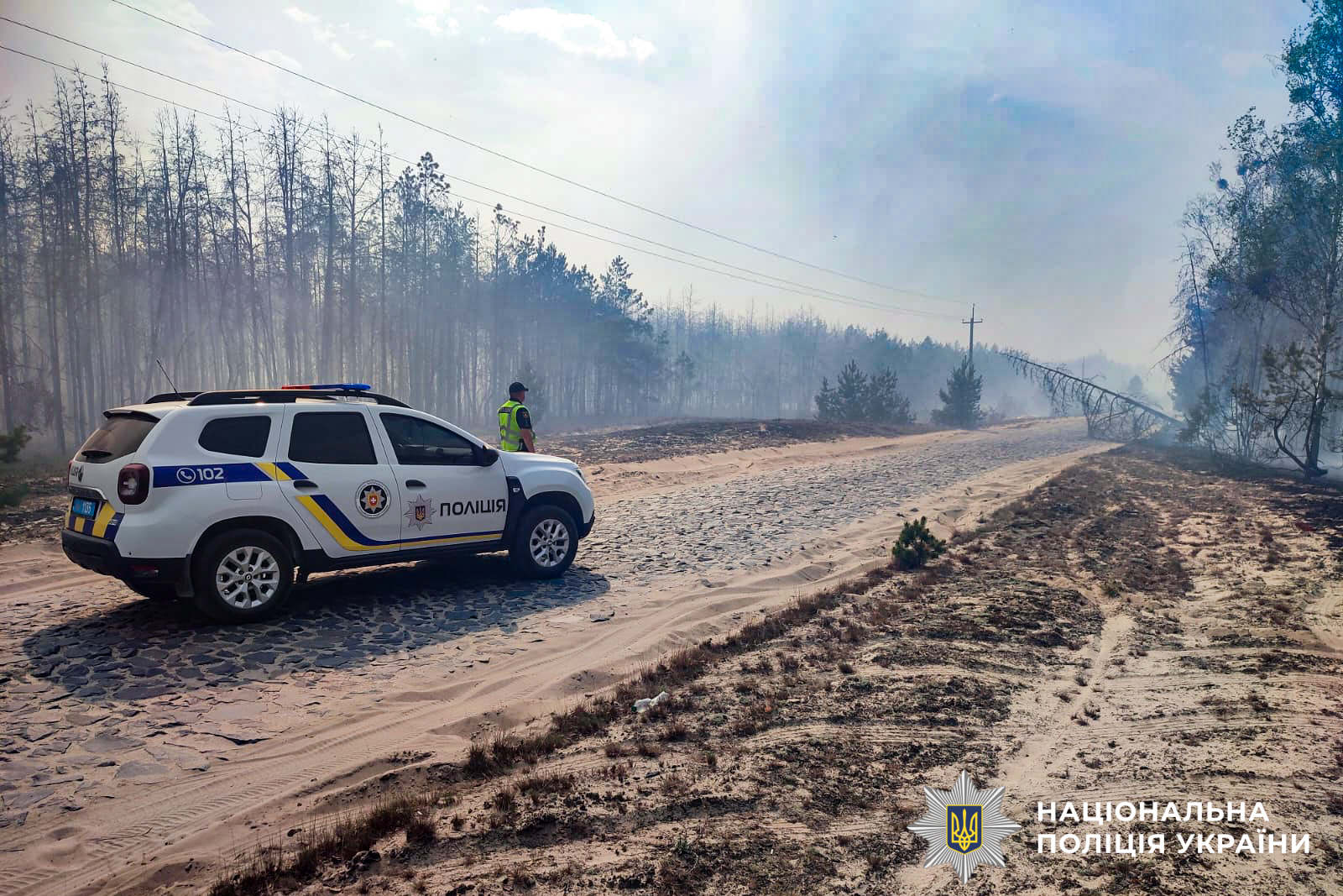 Фото до матеріалу: Пожежа в Рокитнівському районі: вогонь між селами Блажево та Більськ