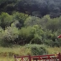 Фото до матеріалу: ЄС продовжить тимчасовий захист українців до 2028 року