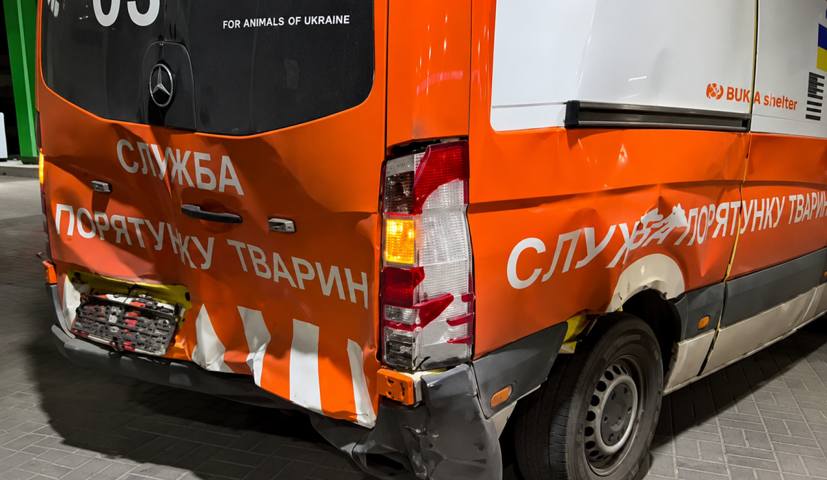 Фото до матеріалу: Оленя Бориса вдруге травмували в ДТП під час перевезення до Києва