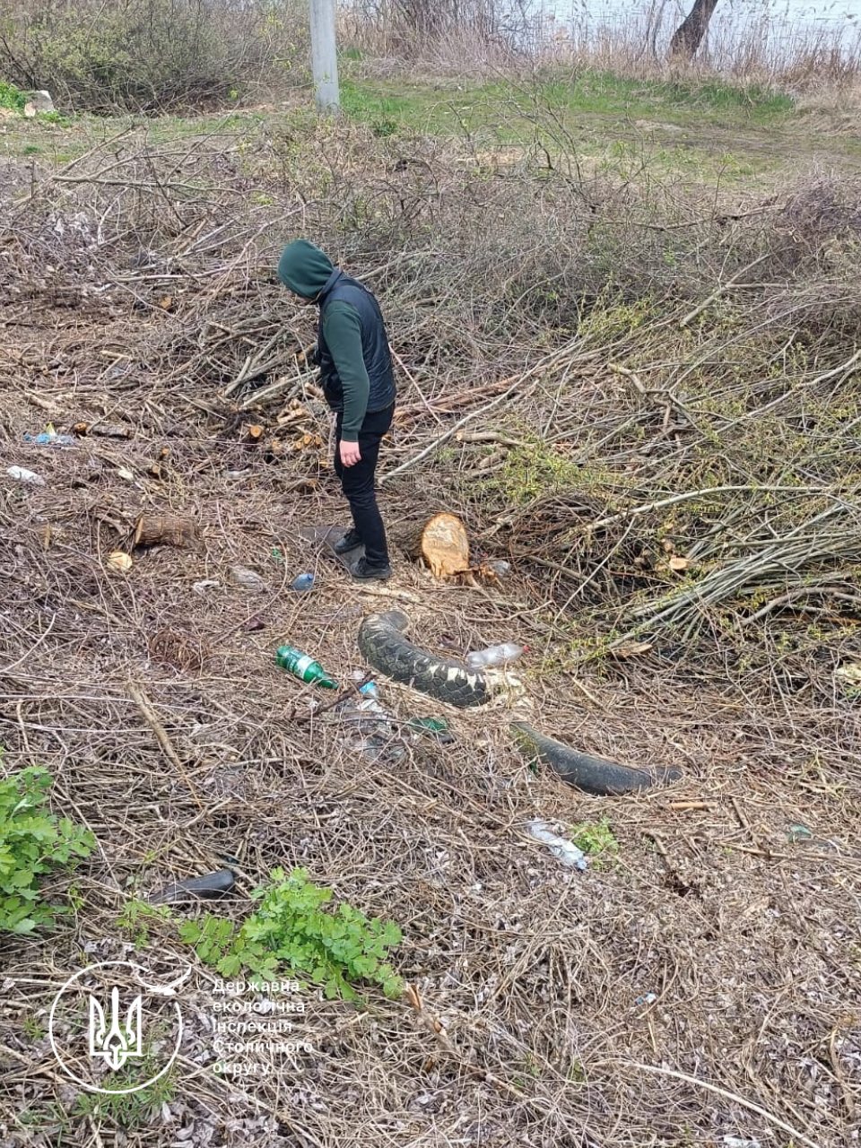 Фото до матеріалу: Екологічний збиток понад 2,6 млн грн: у Києві пошкодили заказник «Озеро Заплавне»