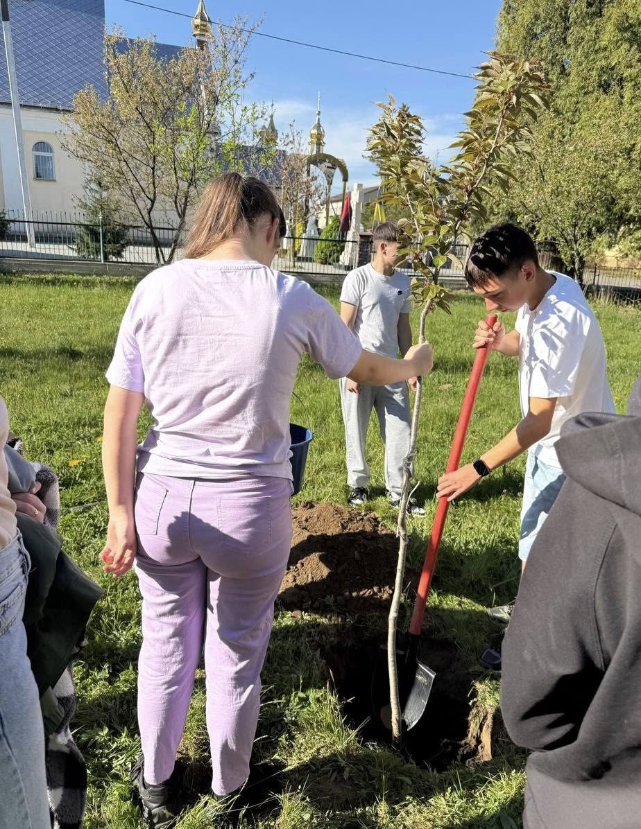 Фото до матеріалу: Випускники Нижньолукавицької школи висадили сакуру на Алеї випускників