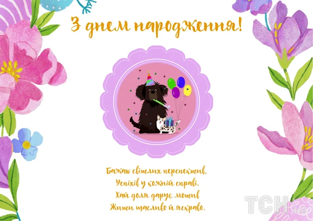 Фото до матеріалу: Теплі привітання з днем народження для жителів Володимира: вірші та проза