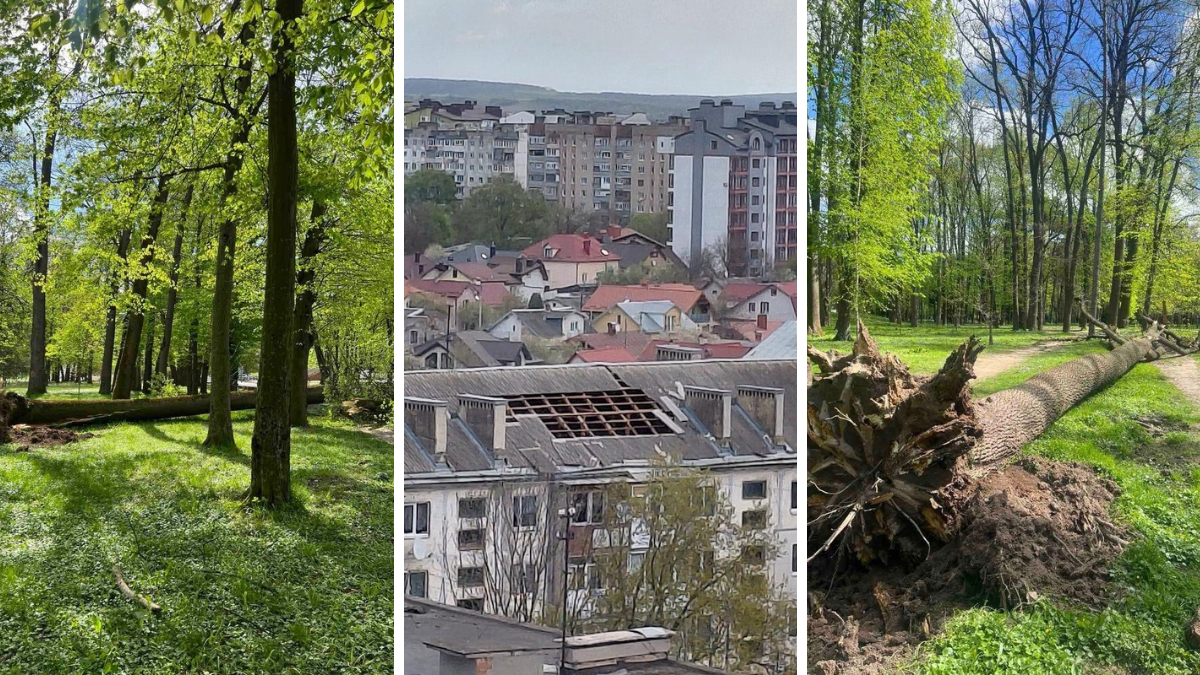 Фото до матеріалу: Вітер пошкодив 14 дахів та повалив 34 дерева в Івано-Франківську