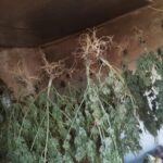 Фото до матеріалу: Ольга Горб звільнилася: новини про відставку заступника голови Дніпропетровської ОДА