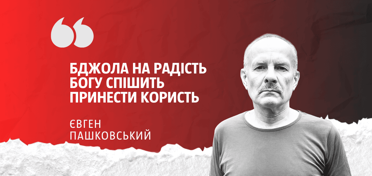 Фото до матеріалу: Євген Пашковський у новій колонці: про бджолу, любов і втрату людства