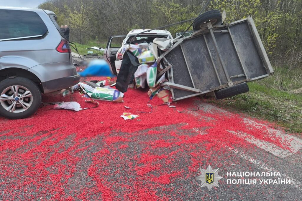 Фото до матеріалу: ДТП на Звенигородщині: загинули двоє військових ТЦК та цивільний — деталі слідства
