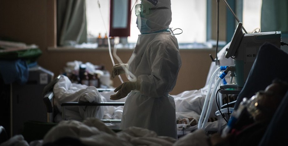 Фото до матеріалу: У Львові двоє пацієнтів одужали від хантавірусу, отриманого взимку