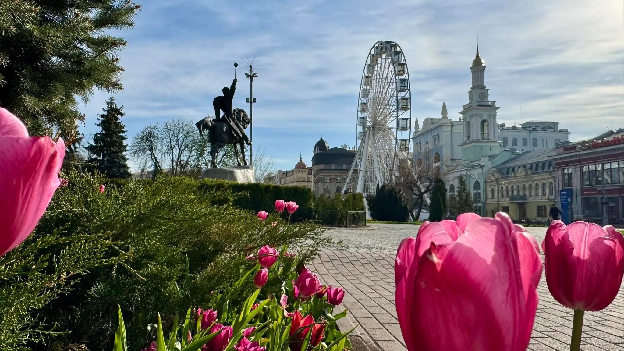 Фото до матеріалу: Опитування: Пошук зниклих людей під час війни