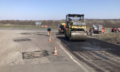 Фото до матеріалу: Врожай на початку літа: що посадити у травні для швидкого збору