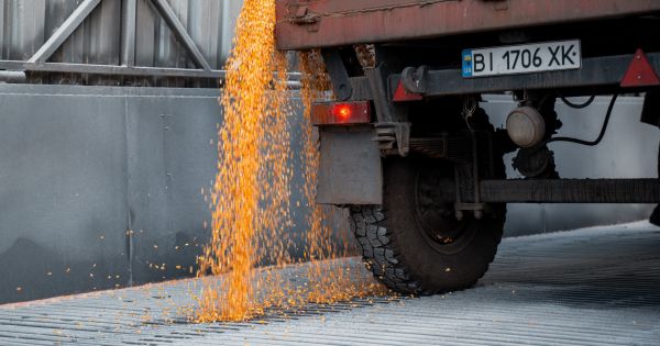 Фото до матеріалу: Мінекономіки: до кінця сезону перехідні залишки зерна скоротяться до 11,3 млн тонн