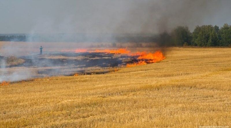 Фото до матеріалу: Ізмаїльщина готується до жнив 2026: посилено контроль пожежної безпеки на полях