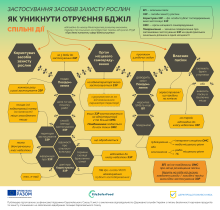 Фото до матеріалу: Як запобігти отруєнню бджіл: правила безпеки для фермерів та пасічників