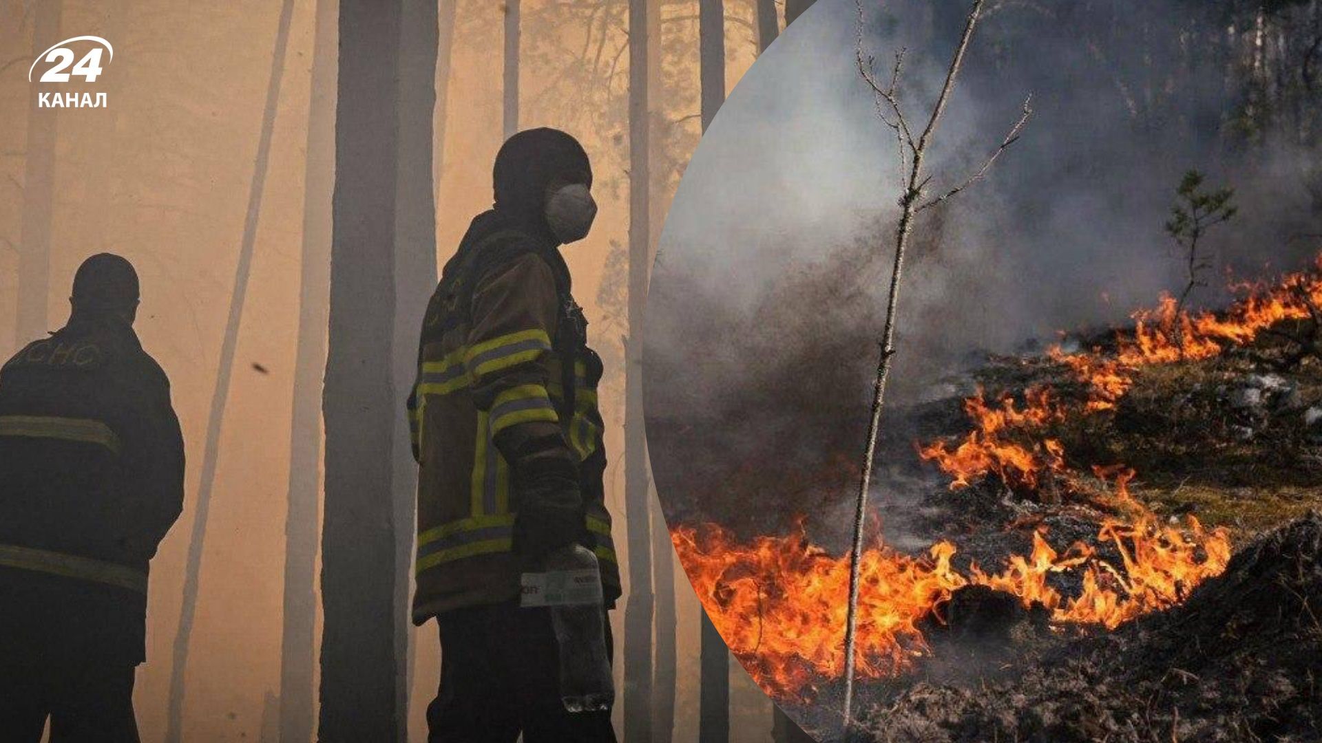 Фото до матеріалу: Горить понад 1000 гектарів: у зоні відчуження не можуть загасити масштабну лісову пожежу