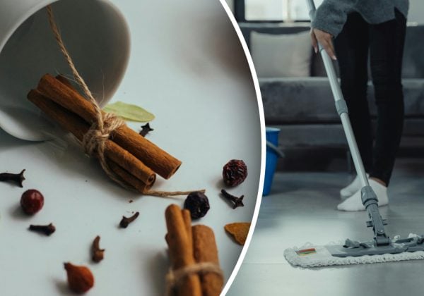 Фото до матеріалу: Кориця у воді для миття підлоги: еко-лайфхак чи ризик для тварин