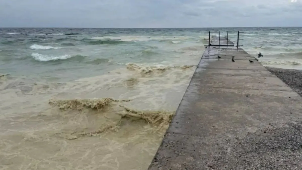Фото до матеріалу: Забруднення Чорного моря олією - еколог пояснив наслідки удару рф по портовій інфраструктурі