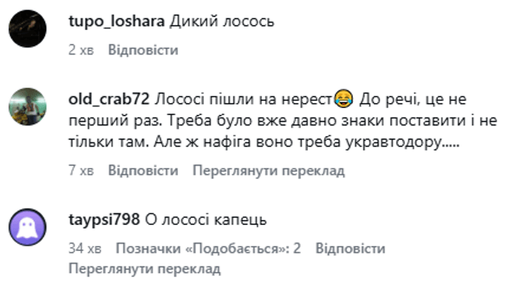 Фото до матеріалу: Лосі перетнули Литовський проспект в Києві: що відомо про появу диких тварин у місті