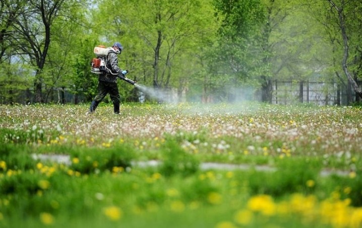 Фото до матеріалу: У Володимирі розпочали обробку парків та скверів від кліщів