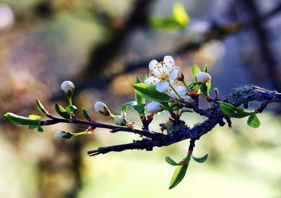 Фото до матеріалу: Травень буде прохолодним: синоптики попереджають про падіння температур в Україні