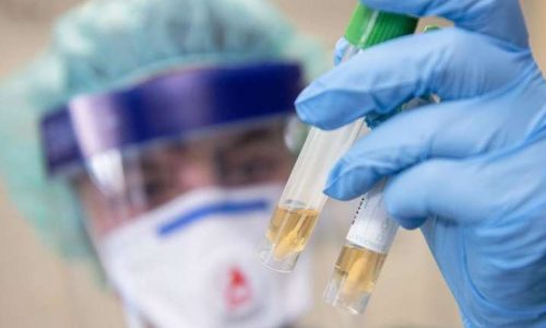 Фото до матеріалу: У місцевих радах створять посади заступників голів з питань оборони