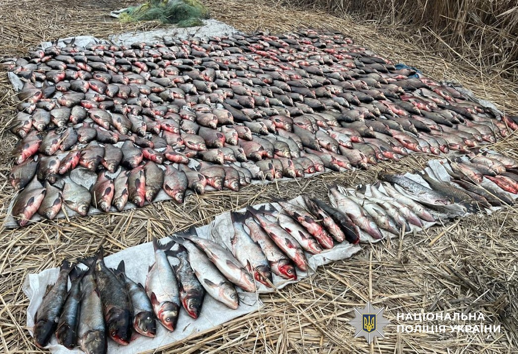 Фото до матеріалу: Браконьєри на Кременчуцькому водосховищі завдали державі збитків на 4,3 млн грн