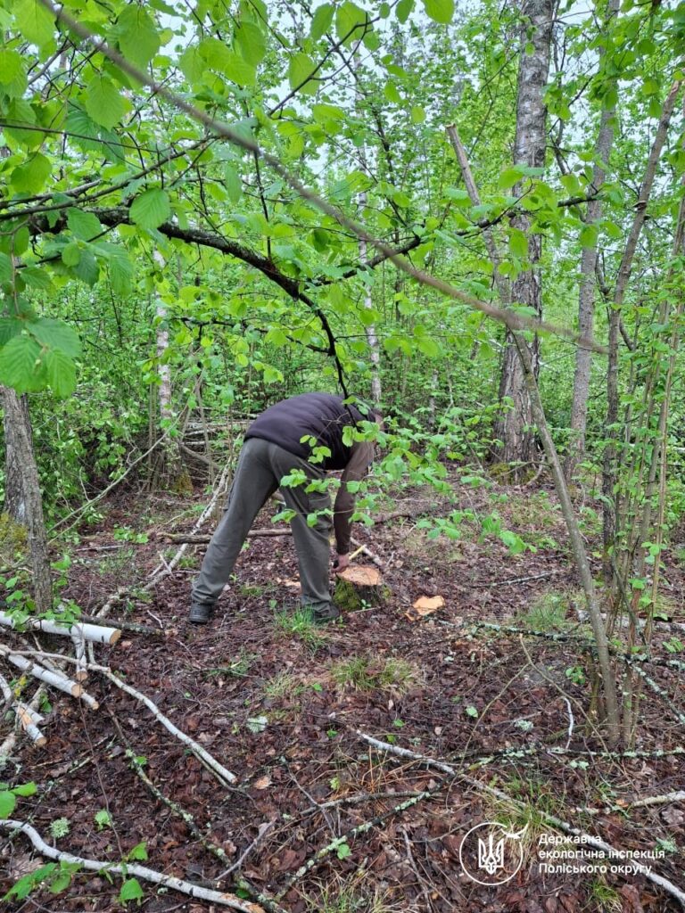 Фото до матеріалу: Дрон виявив трактор із краденими березами на Коростенщині