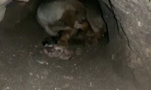 Фото до матеріалу: Комунальники Покрова впорядковують парки та прибудинкові території на початку травня