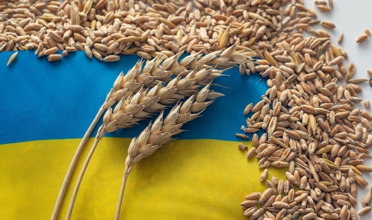 Фото до матеріалу: Експорт пшениці України скоротився майже на 20% у травні 2025 року