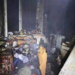 Фото до матеріалу: Лісники з Харкова перевіряють насадження на Дніпропетровщині