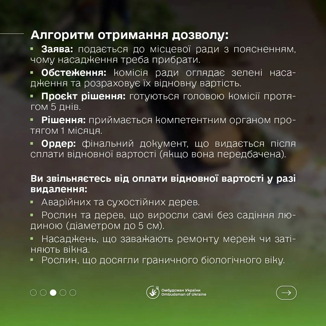 Фото до матеріалу: Дмитро Лубінець уточнив правила видалення дерев та розмір штрафів за їх незаконне вирубування
