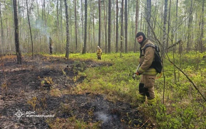 Фото до матеріалу: У чотирьох областях України триває масштабне гасіння лісових пожеж