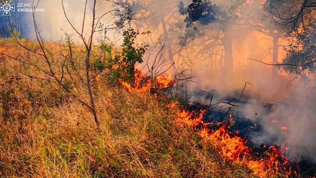 Фото до матеріалу: Надзвичайний рівень пожежної небезпеки в Києві: поради КМДА на найгарячіший період